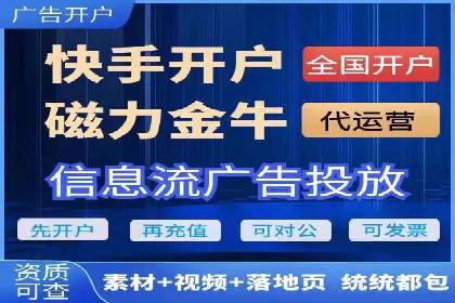 SEM代运营服务公司成功案例解析